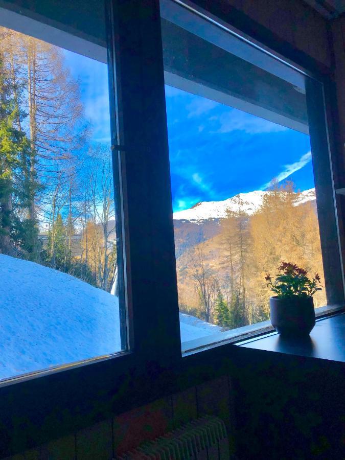 **New**Marilleva 1400**Trilocale Sulle Piste Apartment Bagian luar foto